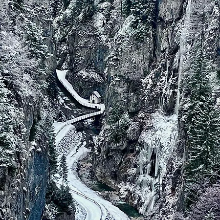 Casa Di Charme Sul Civetta Dolomiti Appartement *
